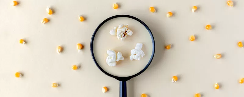 Developing a Compelling Brand: A Simple Guide to Strategic Processes and Creative Thinking