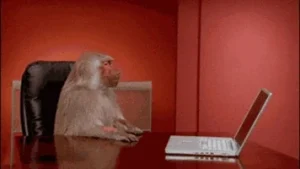 stressed office monkey