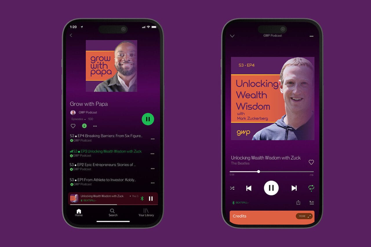 spotify - Chester Binalla - Brand Development