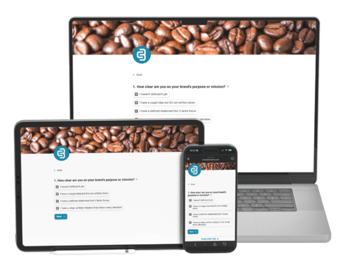 Brand Clarity Assessment - Brand Development - Chester Binalla