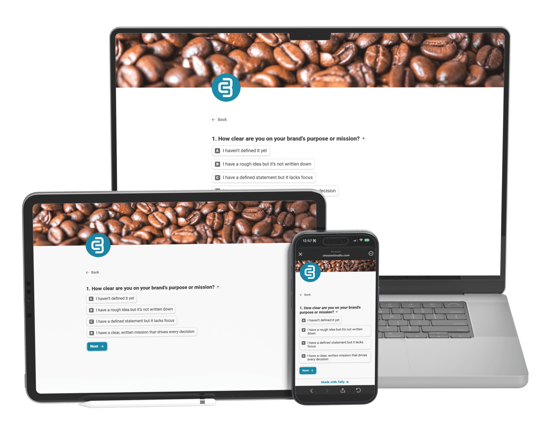 Brand Clarity Assessment - Brand Development - Chester Binalla