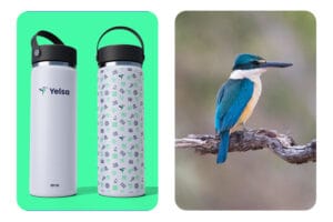 Yelsa brand concept showing two stainless steel water bottles with logo and pattern beside a kingfisher bird perched on a branch