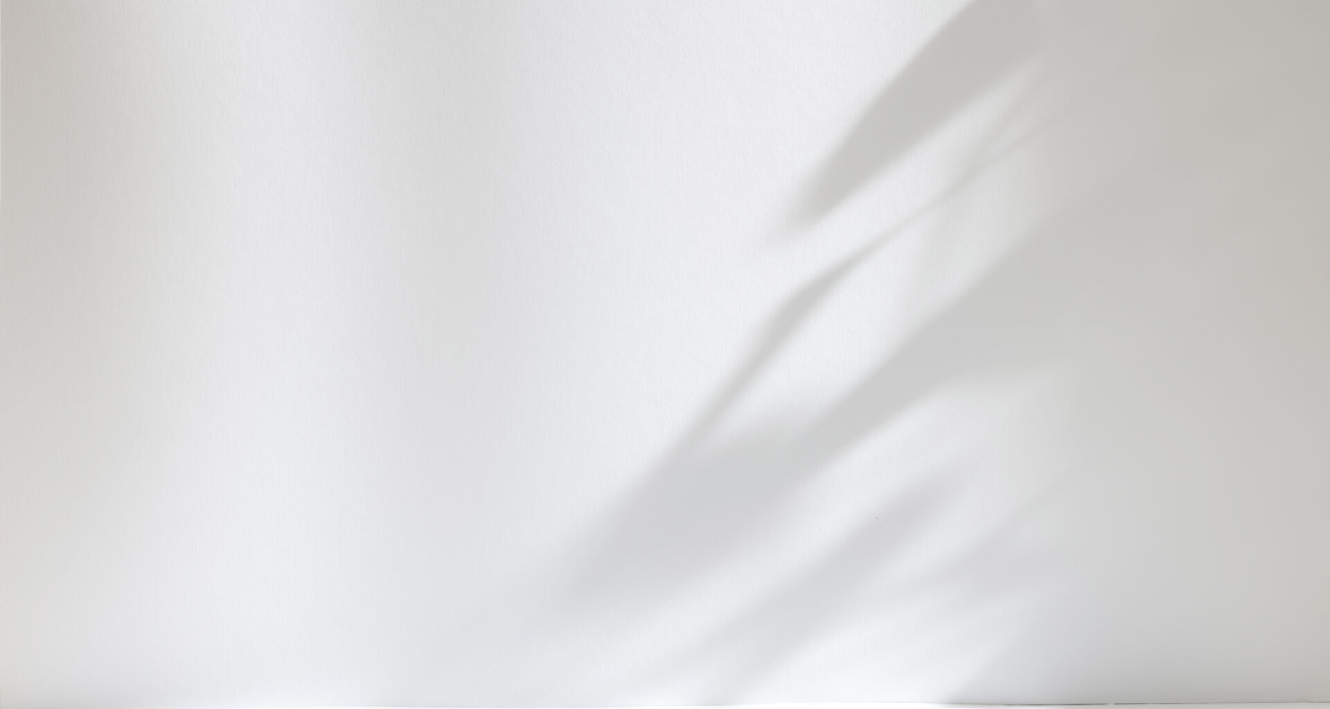 white-shadow- background- Brand Development - Chester Binalla