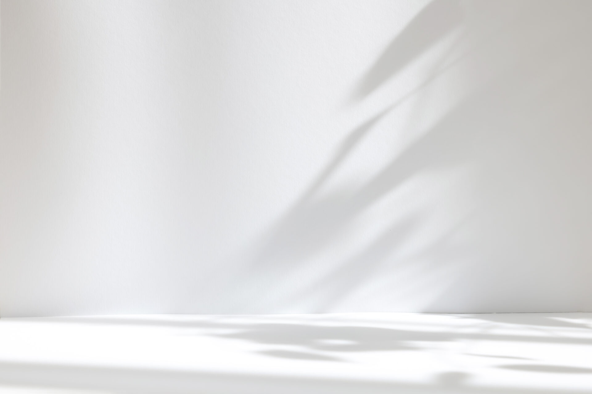 white-shadow- background- Brand Development - Chester Binalla